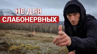 видео: Среда формирует тебя таким - каким ты нужен ей картинка: Среда формирует тебя таким - каким ты нужен ей