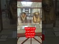 قناع من الكارتوناج المذهب ليويا و ثويا هل يويا هي سيدنا يوسف Shorts Song Shortvideo قناع من الكارتوناج المذهب ليويا و ثويا هل يويا هي سيدنا يوسف Shorts Song Shortvideo