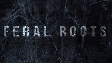 Rival Sons - Feral Roots (Official Visualizer)