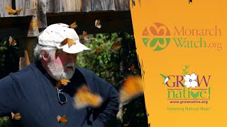Grow Native! Webinar: Monarch Population Trends, Conservation & Climate Change with Dr. Chip Taylor