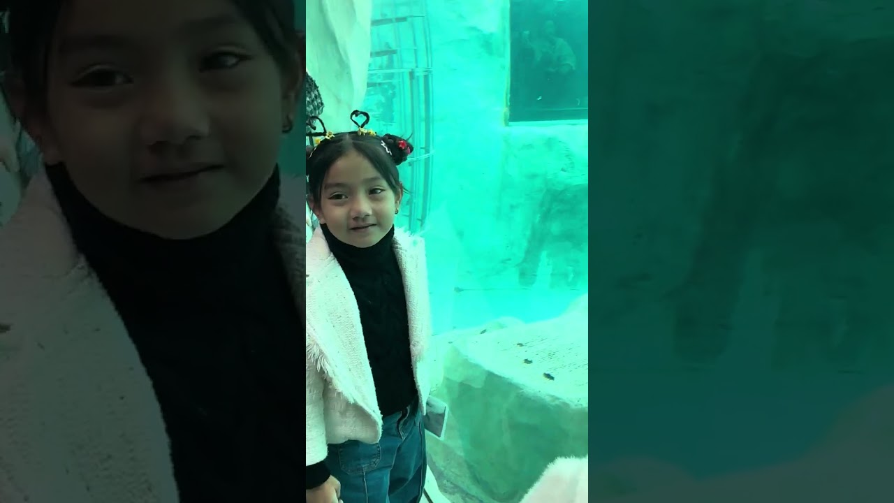 Polar Bear at Ueno Zoo | Ueno Park | Oldest Zoo in Japan