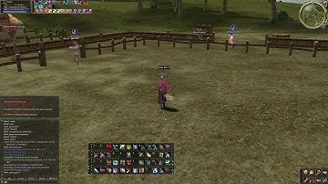 Fight Lineage 2 Dagger vs Dagger.