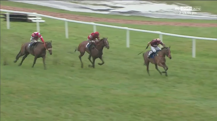 What a STAR! The Two Amigos battles to victory in ...