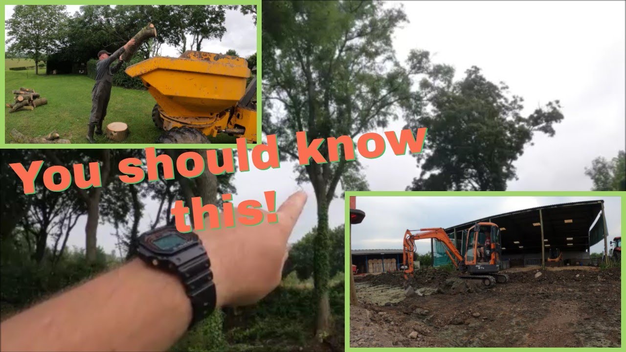A bit more barn work. And farm trees, Some stuff you should know! 10 07 21