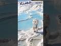 Pamukkale｜Türkiye（パムッカレ｜トルコ）