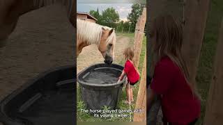 Dramatic American Horses Pulling The Dumbest Moves#HorseMemesUS #FunnyRanchLife