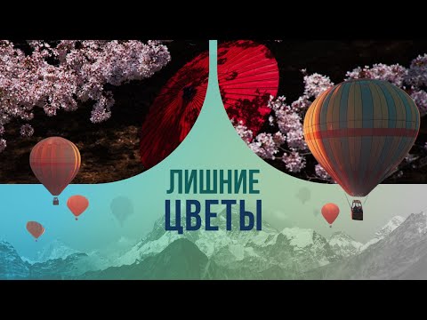Лишние цветы: японская традиция, от которой у россиян стынет кровь в жилах
