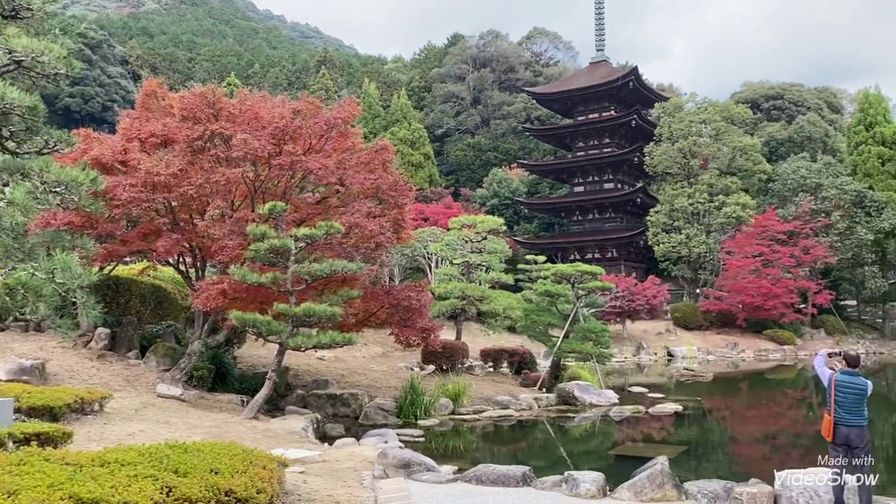 山口瑠璃光寺 五重塔の紅葉 Youtube 山口瑠璃光寺 五重塔の紅葉 Youtube