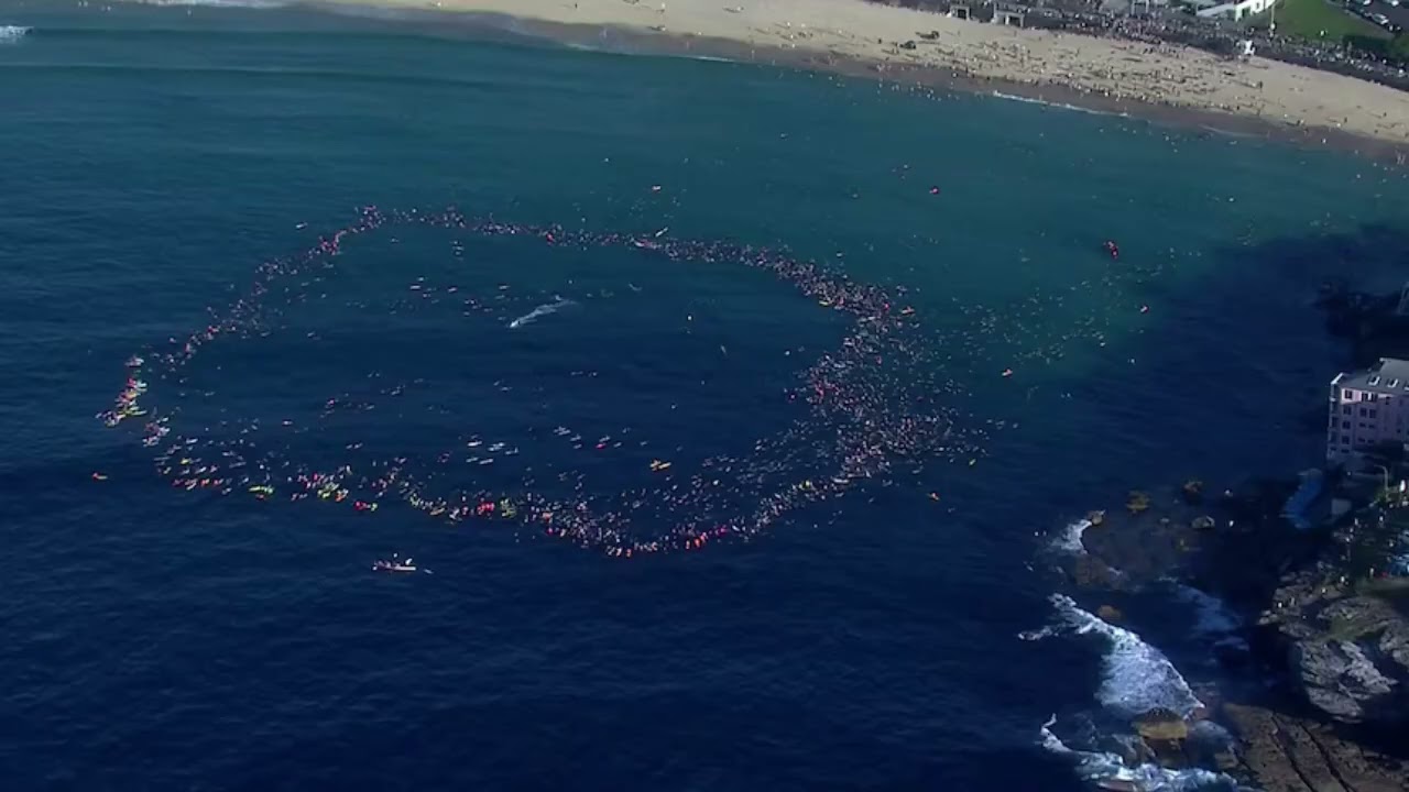 A swim for unity at Bondi beach, the scene of Sydney’s darkest day