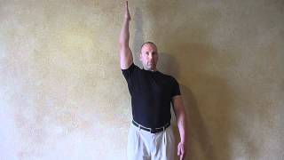 Shoulder 3.7 AROM-Flexion one arm