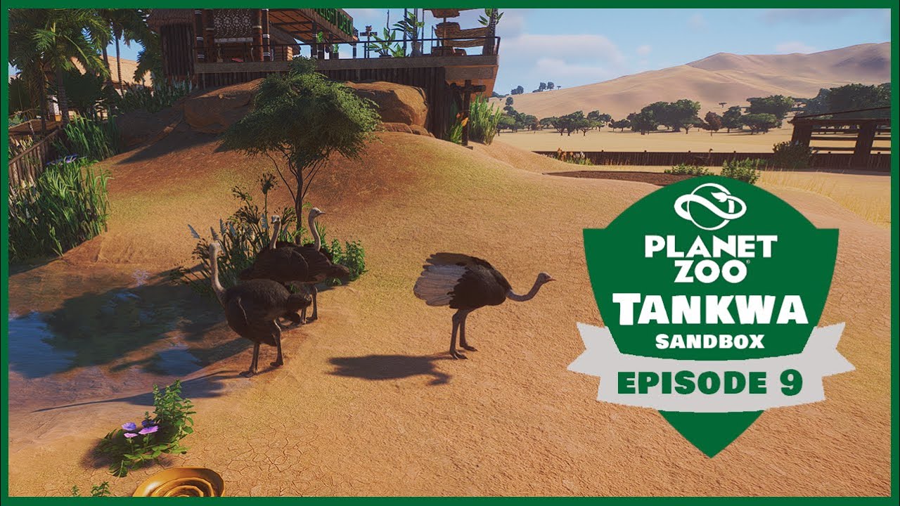 Planet Zoo | EP:09 Common Ostrich | Tankwa Sandbox Zoo