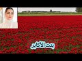 شيلة اناء مش موظف اناء شاقي ولامعي ارقام ماليه ابوعزت أبراهيم