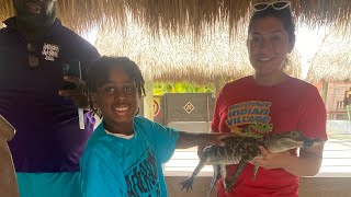 I touch an alligator 😱😱😱😱😱😱😱😱😱😱😱😱😱😱😱😱😱😱😱😱