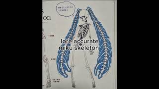 lore accurate miku skeleton looks so tuff #vocaloid #miku DTBB 
