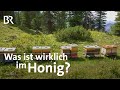 Pollenanalyse: Herkunft von Honig bestimmen | Gut zu wissen | BR