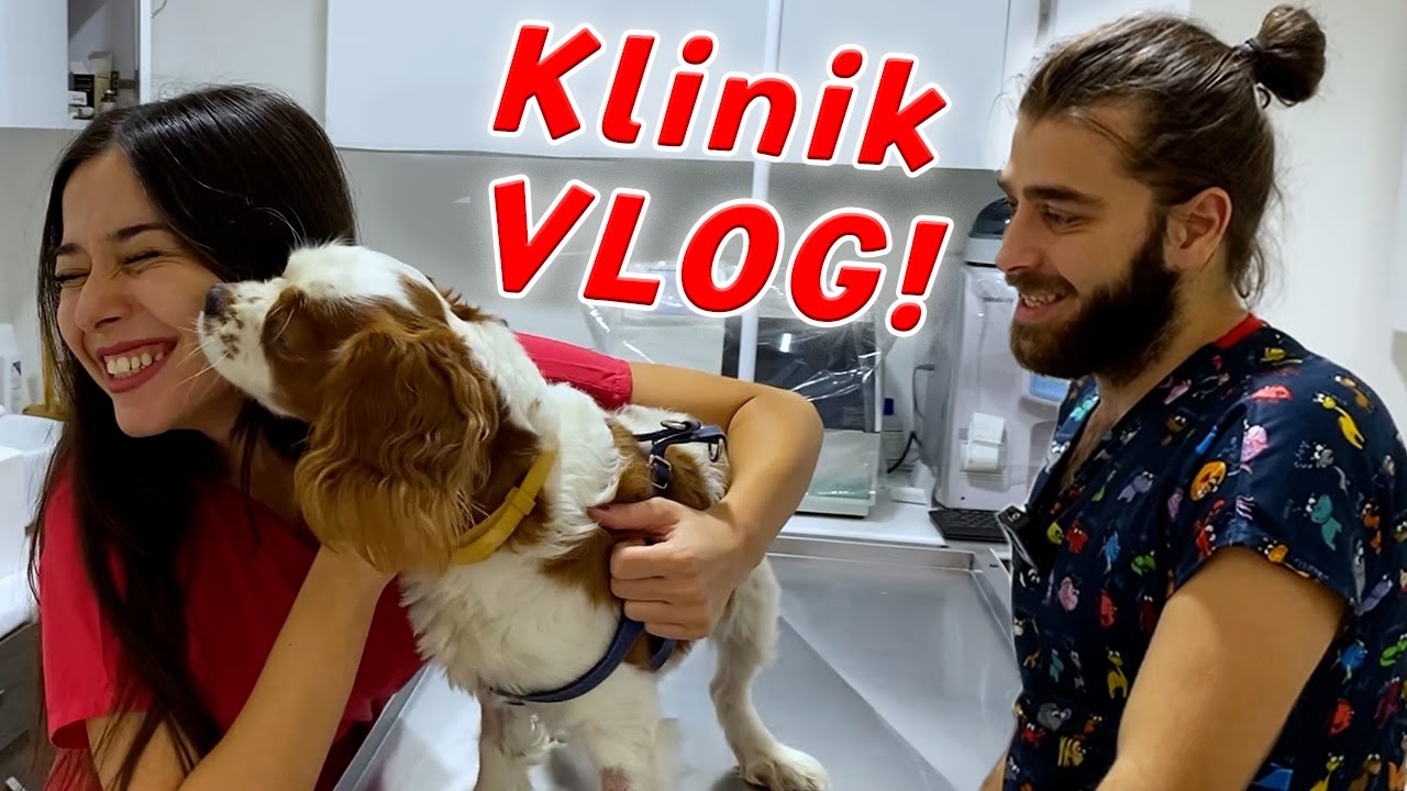 İLK VLOG GELDİ! | Veteriner Kliniğimizde Bir Günüm Nasıl Geçiyor? w/ @tugayinanoğlu