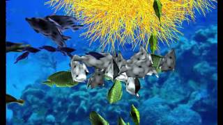 Artificial Fishbowl