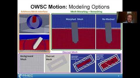 Development of an OpenFOAM Fluid-Structure Interaction Model of an Oscillating Wave Surge Converter