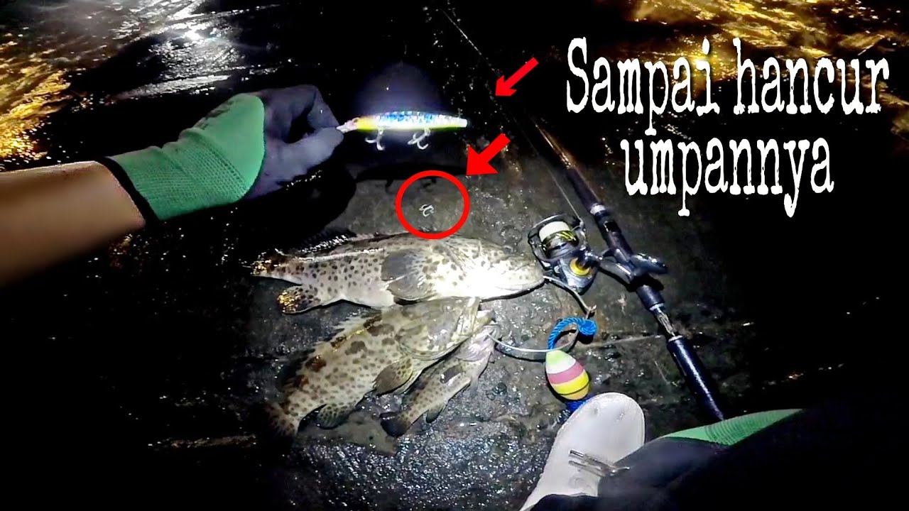 DAM TAHU SORE || Ikannya ngamuk || gara gara umpan terlalu killer sampai gak mau nolak