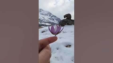 Intranet # viral video 0#