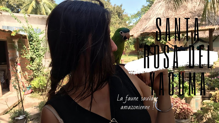 DÉCOUVERTE DES ANIMAUX DE L'AMAZONIE + J'AI NAGÉ AVEC LES DAUPHINS ROSES - VLOG