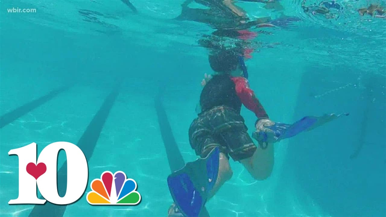 Knoxville neighborhood pool promotes exercise with the 'Timbercrest