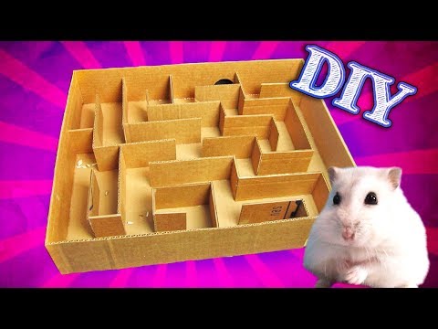 Vídeo: Como Fazer Um Labirinto De Hamster