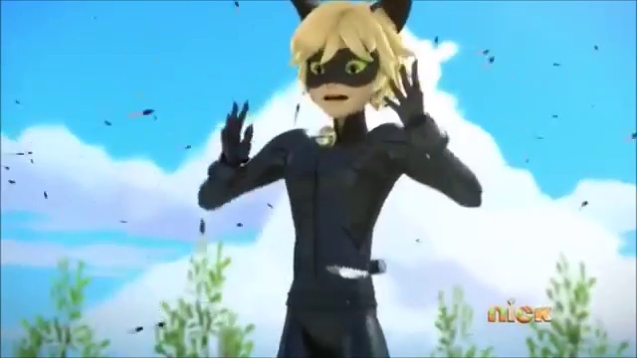 Chat Noir Sneezing Montage English