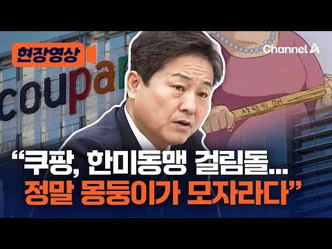 김영배 "쿠팡, 몽둥이가 모자라다…자료제출 거부하고 거짓말 일관" [현장영상] / 채널A