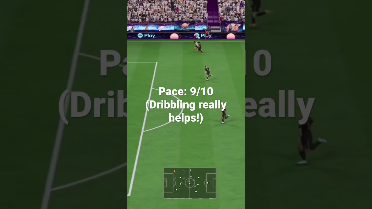 Rttk Savio Player Review…