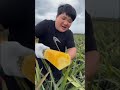 Ш Щ Ш Щ Ш Ші ЩЉШ Щ Ш Ші Щ Ш Ш Ш ЩЉШЁЩ рџЌЌ Shorts ЩЃЩ Ш ЩѓЩ Ш Щ Ш Щ Ш Ші Ш Щ Ш Щ Ш Ші ЩЉШ Щ Ш Ші Щ Ш Ш Ш ЩЉШЁЩ рџЌЌ Shorts ЩЃЩ Ш ЩѓЩ Ш Щ Ш Щ Ш Ші