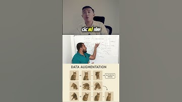 Data Augmentation là cách nhân đôi dữ liệu bằng sự sáng tạo – xoay, lật, thêm nhiễu… để AI học tốt