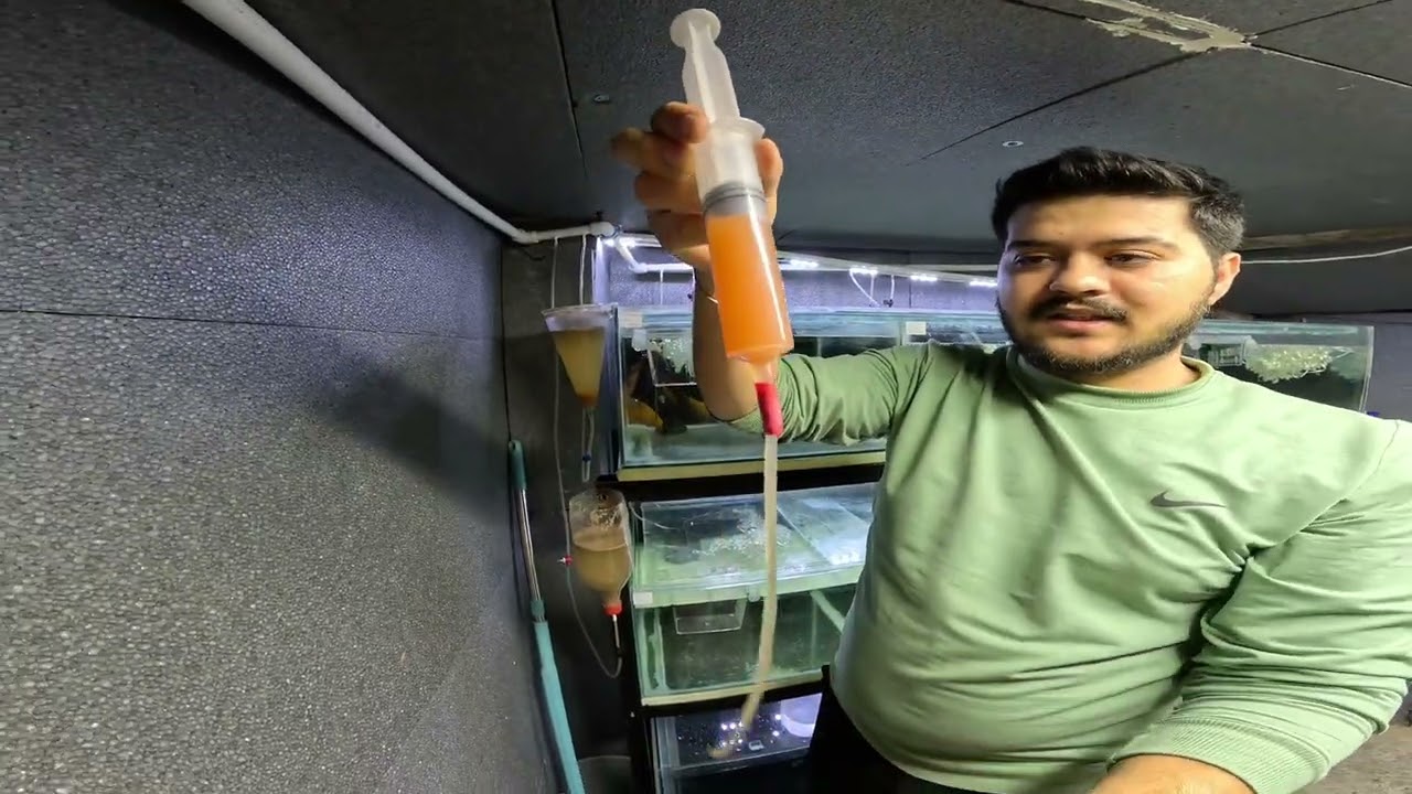 TERASHOBİHANEM GÜNCEL TANITIM ( SON DURUM ) !