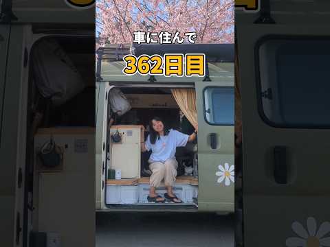 車に住んで362日目。#夫婦#夫婦旅#車中泊#同棲#バンライフ#vanlife#日本一周#猫#カップル