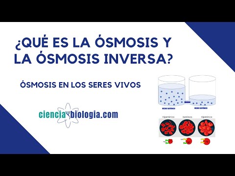 Video: ¿Cómo funciona la ósmosis inversa Culligan?