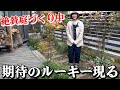 【園芸初心者】今後とんでもないお庭になる予感！！！【じゅんぺい君】【ガーデニング】【園芸初心者】