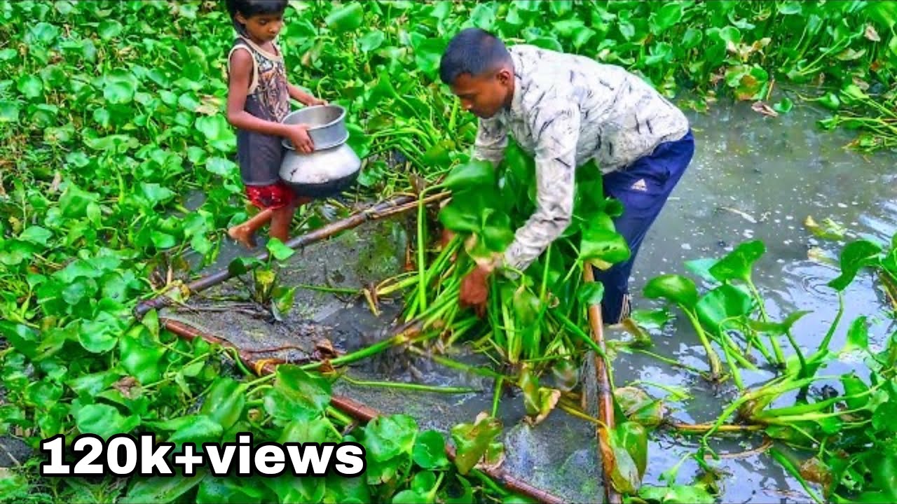 ঠেলা জালে সৌখিন মাছ (net fishing in village viral video)