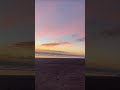 Chasing Sunsets & Rugby Thrills, New Zealand, Wild Kiwi from Harriet Q. 🇳🇿