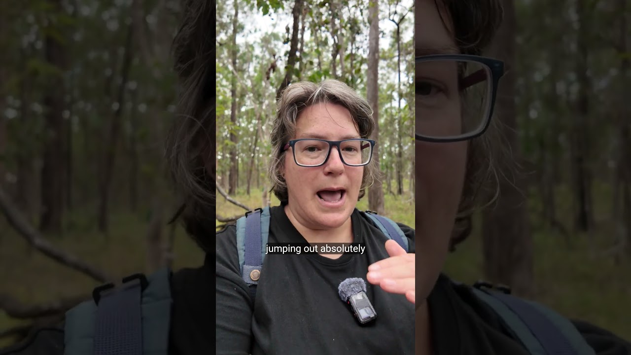 Is Vanlife safe or not? #vanlife #camping #safteyfirst