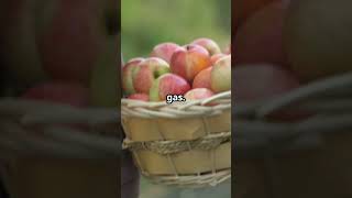 Why Apples & Oranges Don't Mix! #health #fruit #food