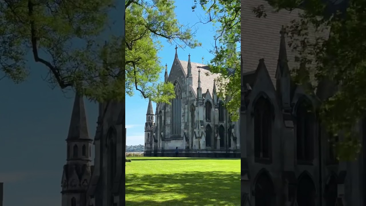 Very beautiful bird sounds & beautiful view 