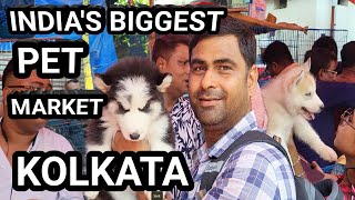 PET MARKET KOLKATTA || INDIA BIGGEST PET MARKET KOLKATTA