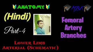 Part-4 Lower Limb Arterial Schematic- Femoral Artery Branches Kvsr Medico Mbbs