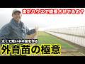 【ネギ苗作り】絶対に徒長させない！外育苗のメリットと注意点を徹底解説【太く短い苗】
