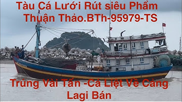 Tàu Cá Lưới Rút Siêu To Thuận Thảo-BTh-95979.TS.Trúng Vài Tấn Cá Liệt Về Cảng Lagi Bán 