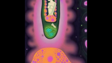 A Rick & Morty Video made by Stable Diffusion 2.0