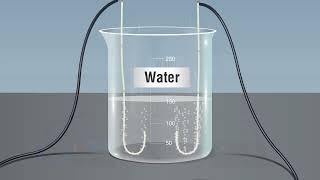 Study Electrolysis Of Water