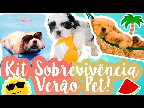 Vídeo: Como preparar seu cão para o conforto do verão