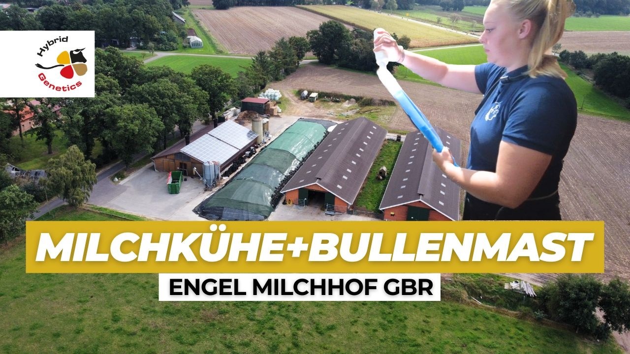 Familie Engel: Hybridzucht und eigene Mast - Erfahrungen und Einblicke