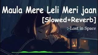 Maula Mere Lele Meri Jaan | Full Song | Chak De India [Slowed Reverb]